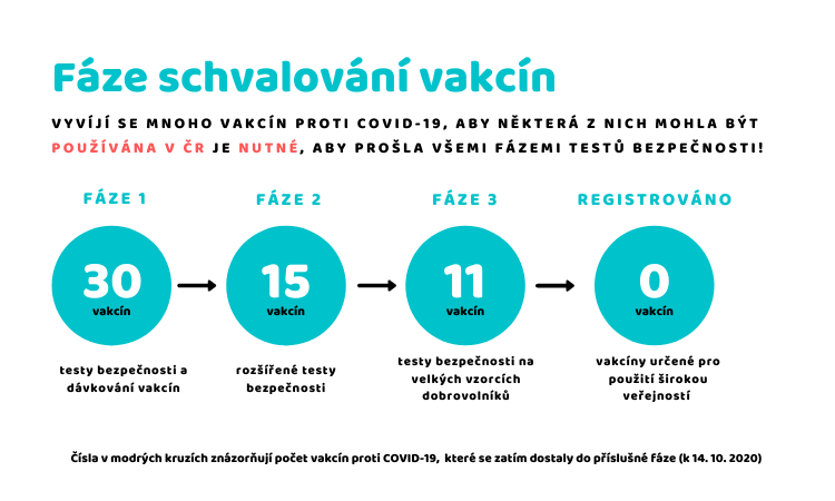 infografika - fáze schvalování vakcin