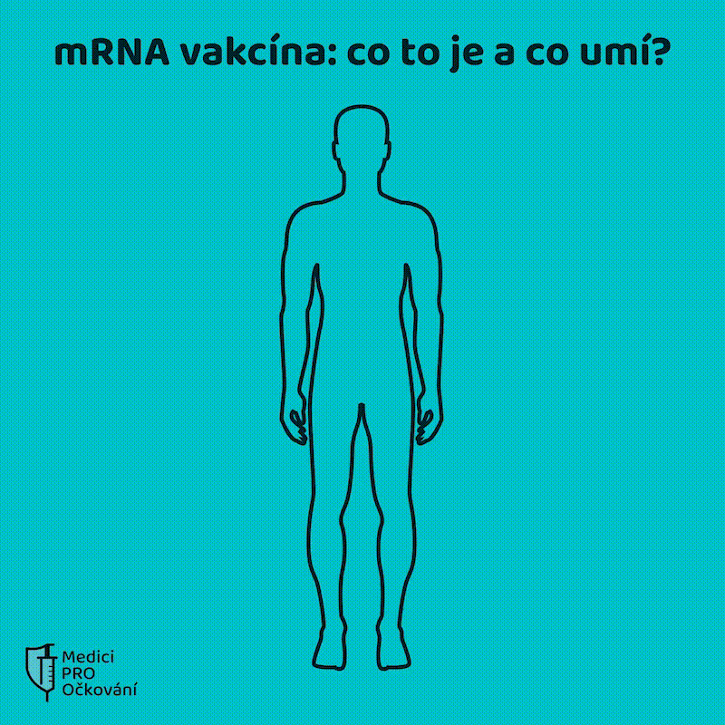 Infografika k mRNA vakcíně