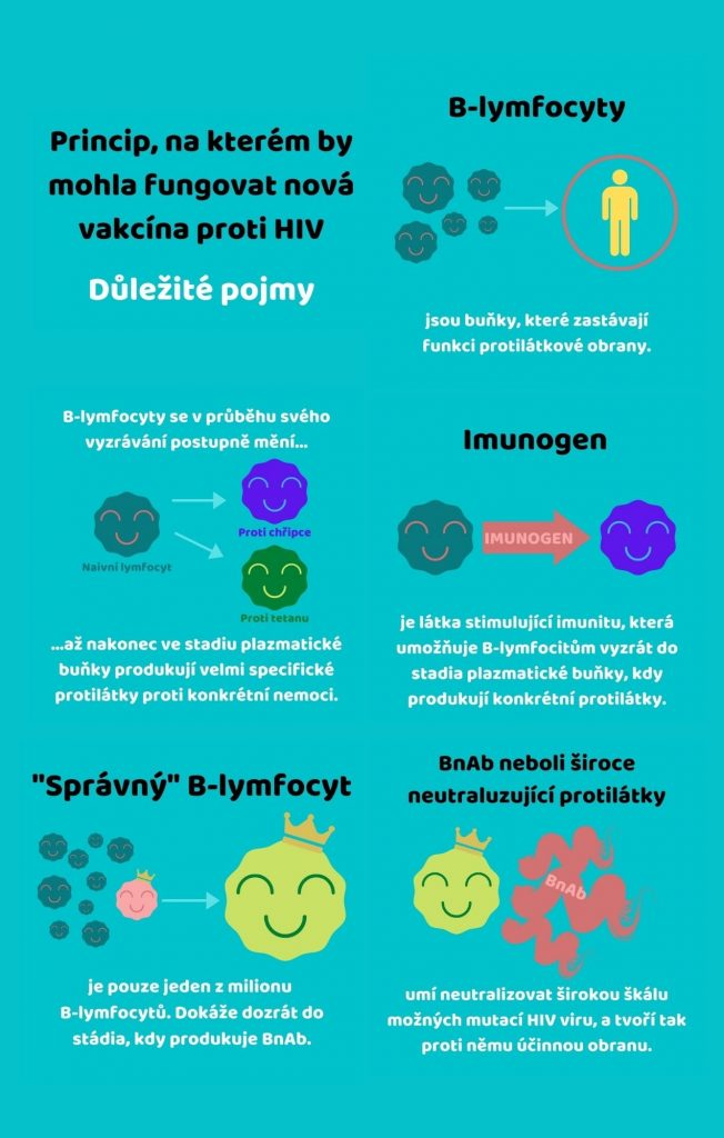 Infografika s definicemi důležitými pojmů týkajících se očkování proti HIV.
