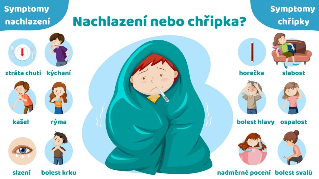 Infografika zobrazující příznaky chřipky a nachlazení.